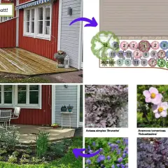 Idébild för en långsmal rabatt med olika växter. Visar planritning och exempel på blommor.