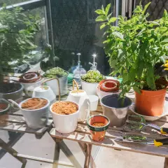 En person med gula handskar planterar en grön växt i en kruka. Bordet är fullt av krukor, jord och trädgårdsredskap.