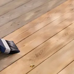 En hand med handske behandlar trall med pensel. Trallen blir ljusare där den penslas. En geting flyger förbi.