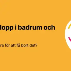 Lukt i avlopp och toalett? Lär dig hur du åtgärdar det. Rörjour 247 har 1000 omdömen.