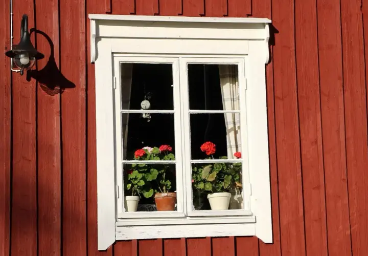 Fönster med röda pelargoner på en faluröd vägg. Hoppas de klarar sig från frost.