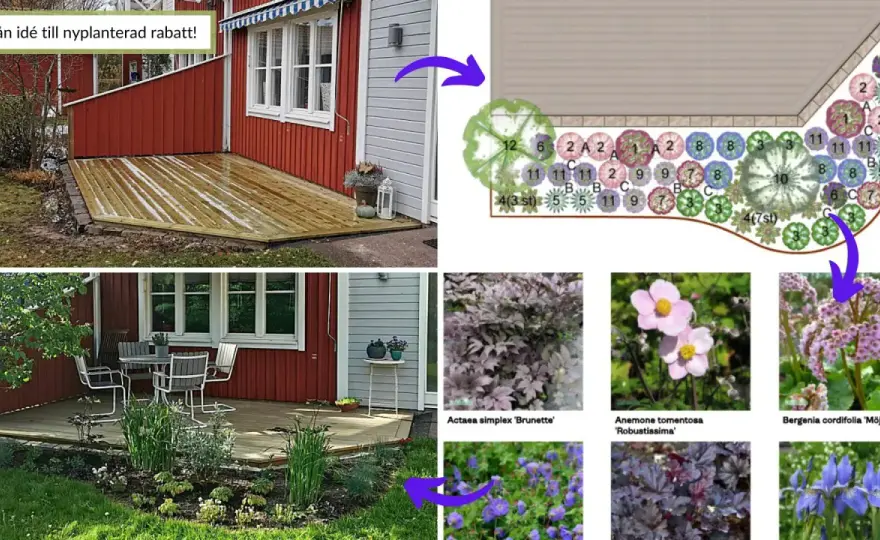 Smal rabatt - Så lyckas du med design & växter!