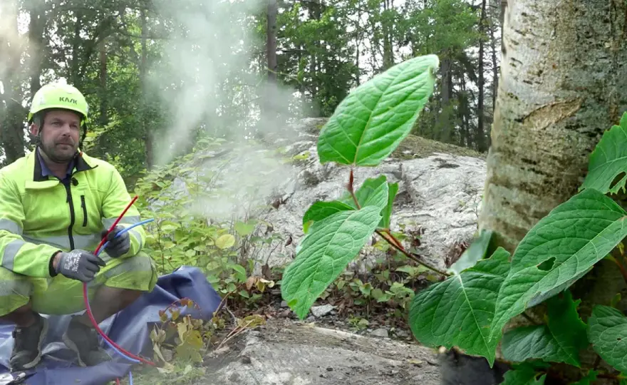 Parkslide vid husgrunden - Så skyddar du ditt hem effektivt