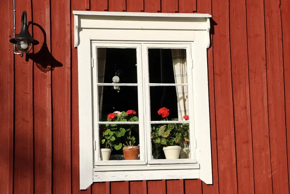 Fönster med röda pelargoner på en faluröd vägg. Hoppas de klarar sig från frost.