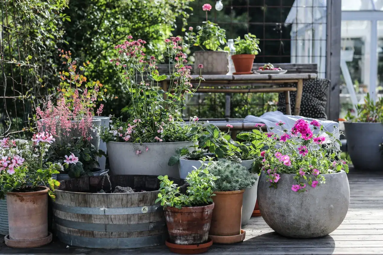 Vacker samling krukor utomhus inspiration med blommor i olika storlekar och material. En träbalja med vatten ger en lugnande känsla.